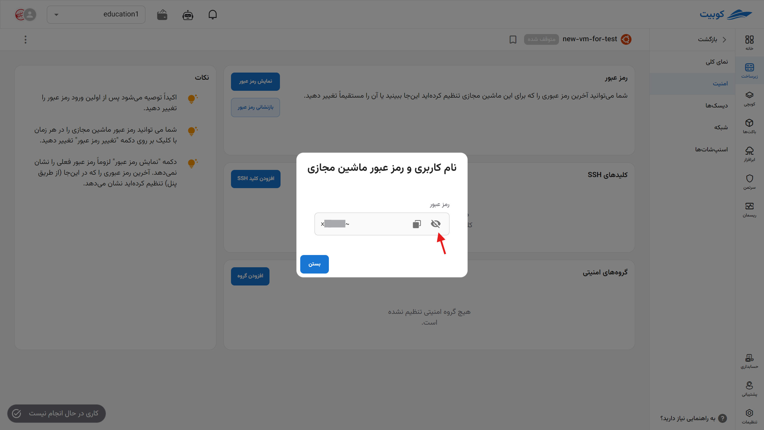 VM: display pass
