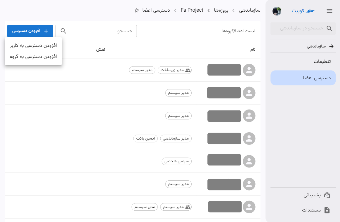 Project: project access choices