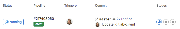 App Insatall: gitlab-runner-status